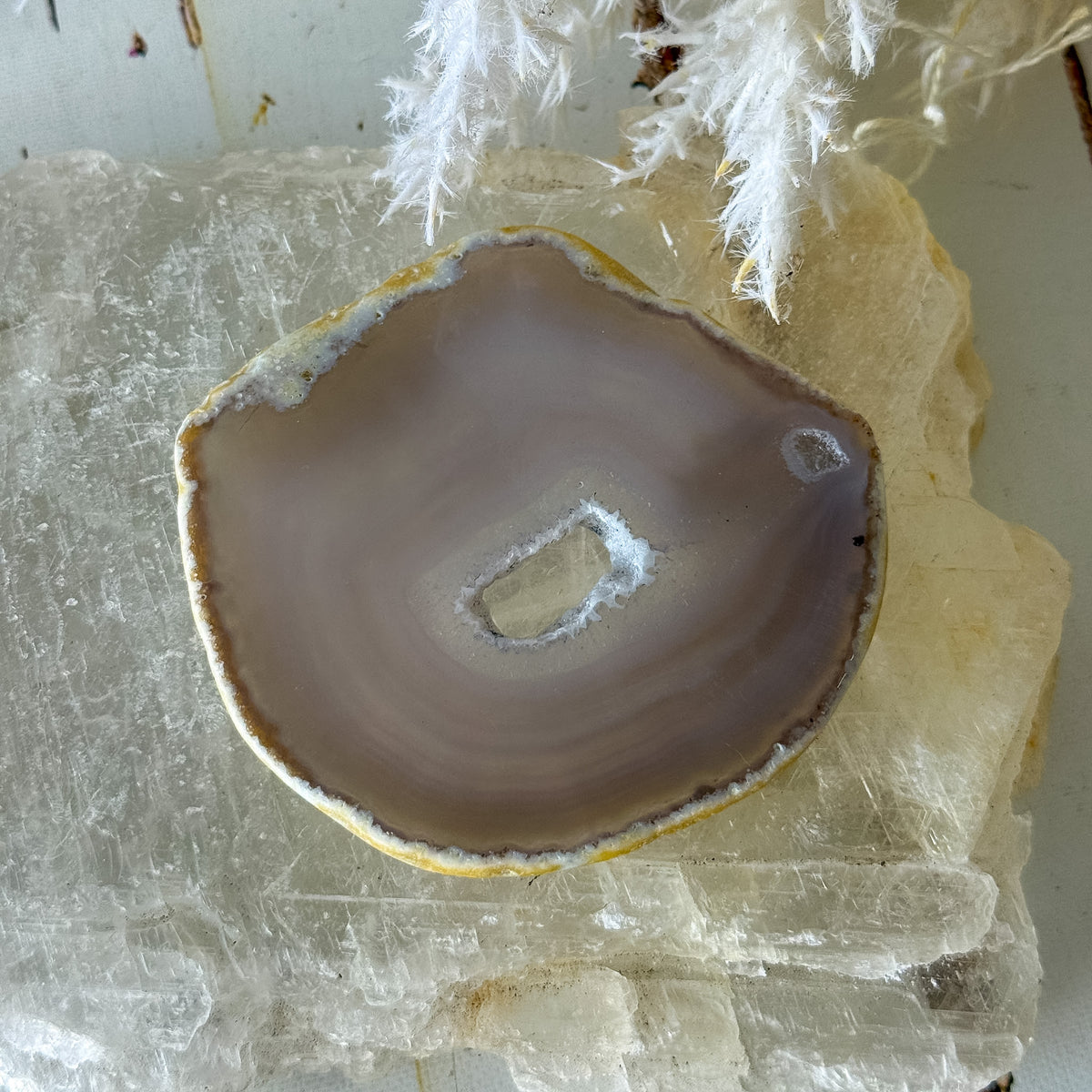 Agate Slice #1461-Happily Zen
