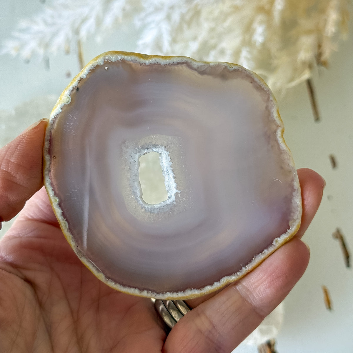 Agate Slice #1461-Happily Zen