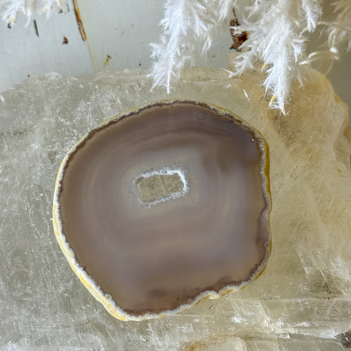 Agate Slice #1461-Happily Zen
