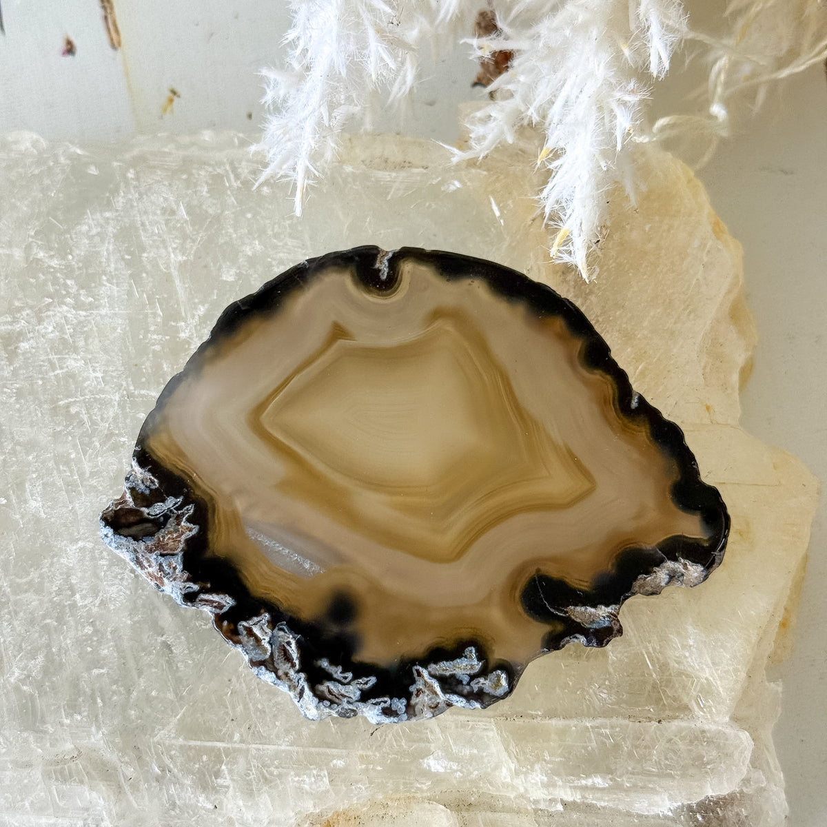 Agate Slice #1462-Happily Zen