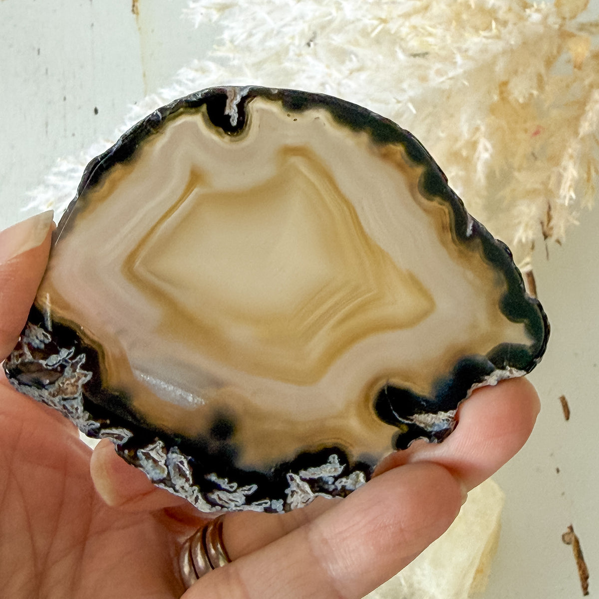 Agate Slice #1462-Happily Zen