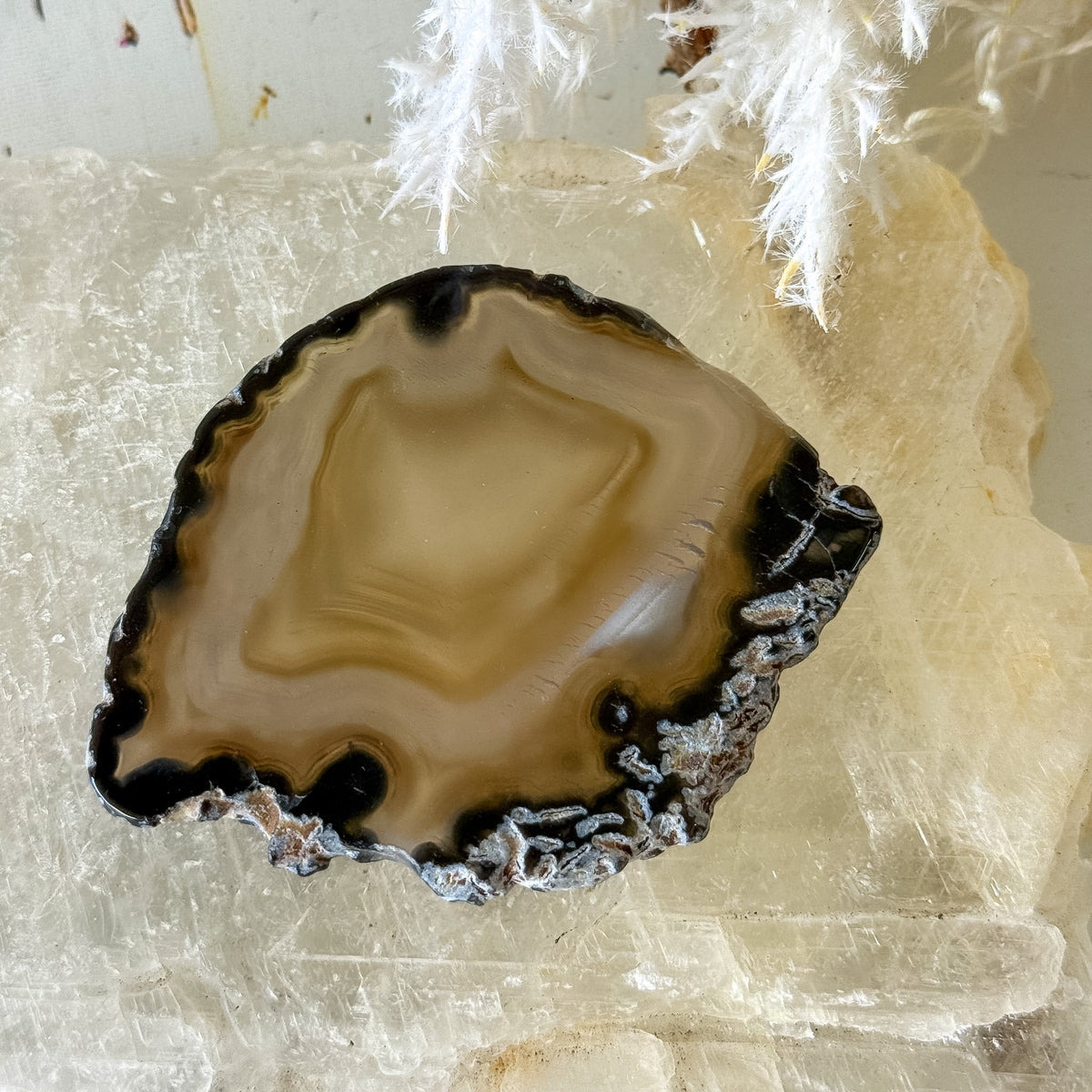 Agate Slice #1462-Happily Zen