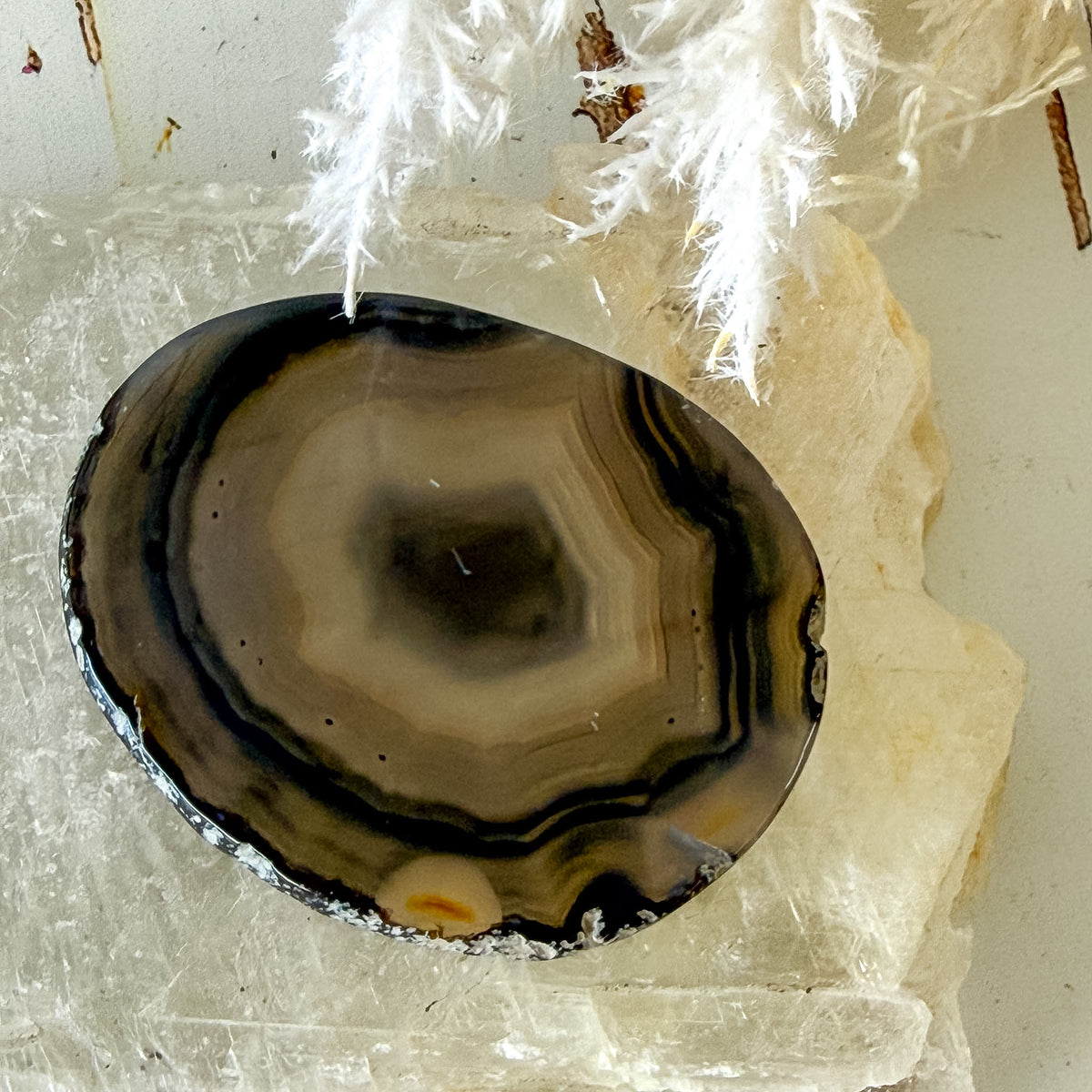 Agate Slice #1463-Happily Zen