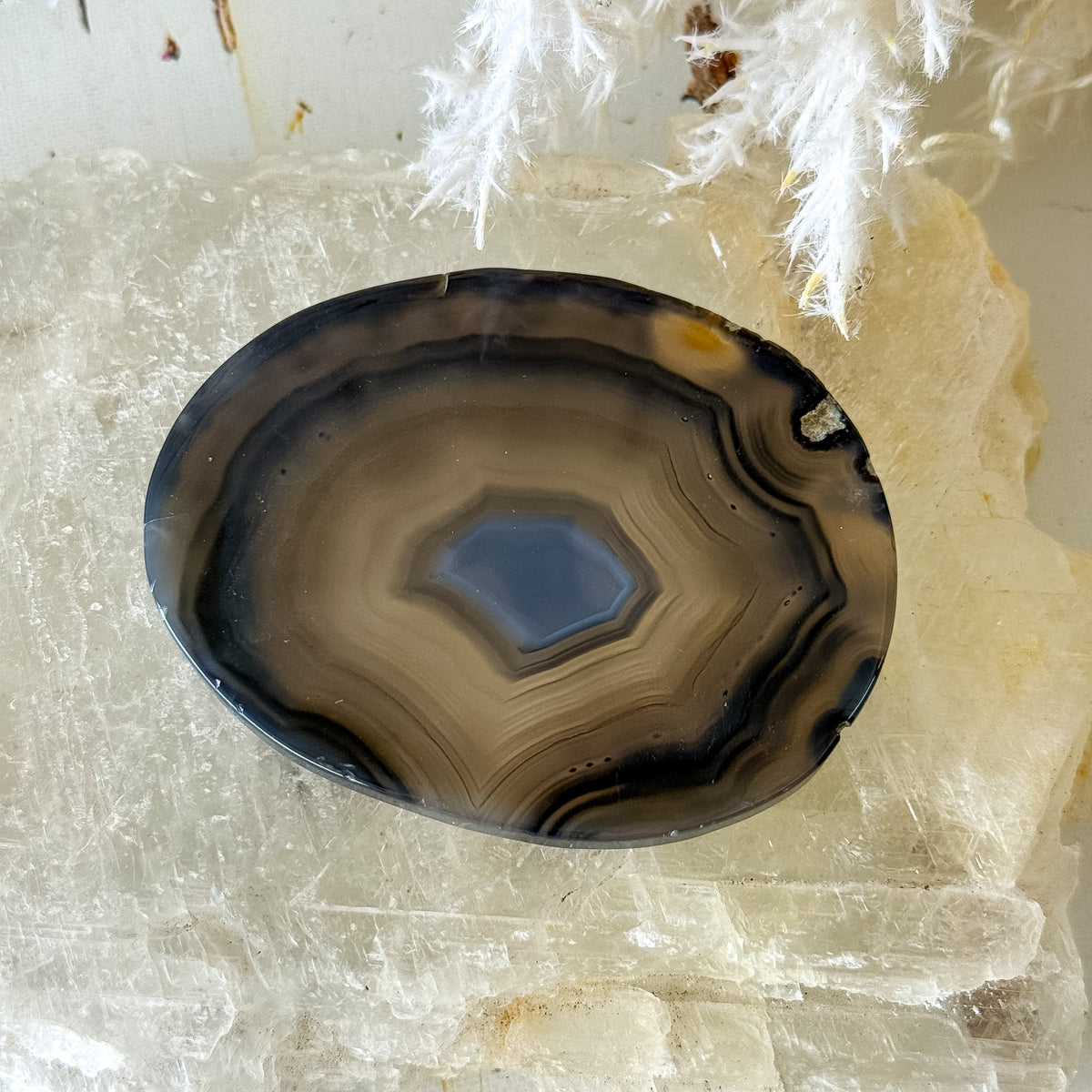 Agate Slice #1463-Happily Zen