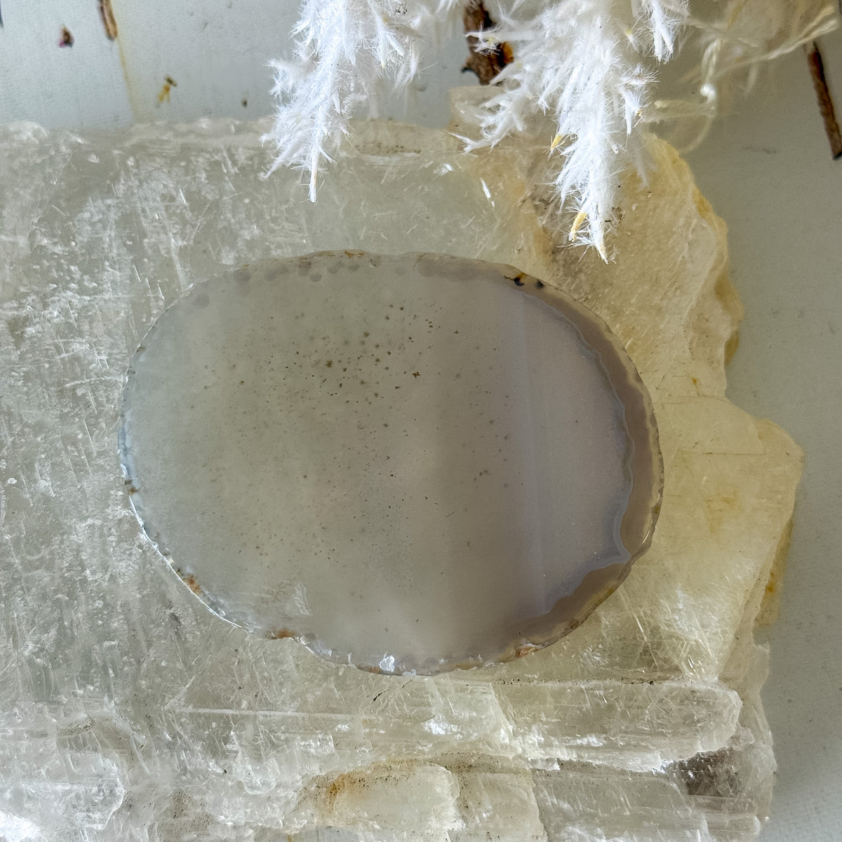 Agate Slice #1464-Happily Zen