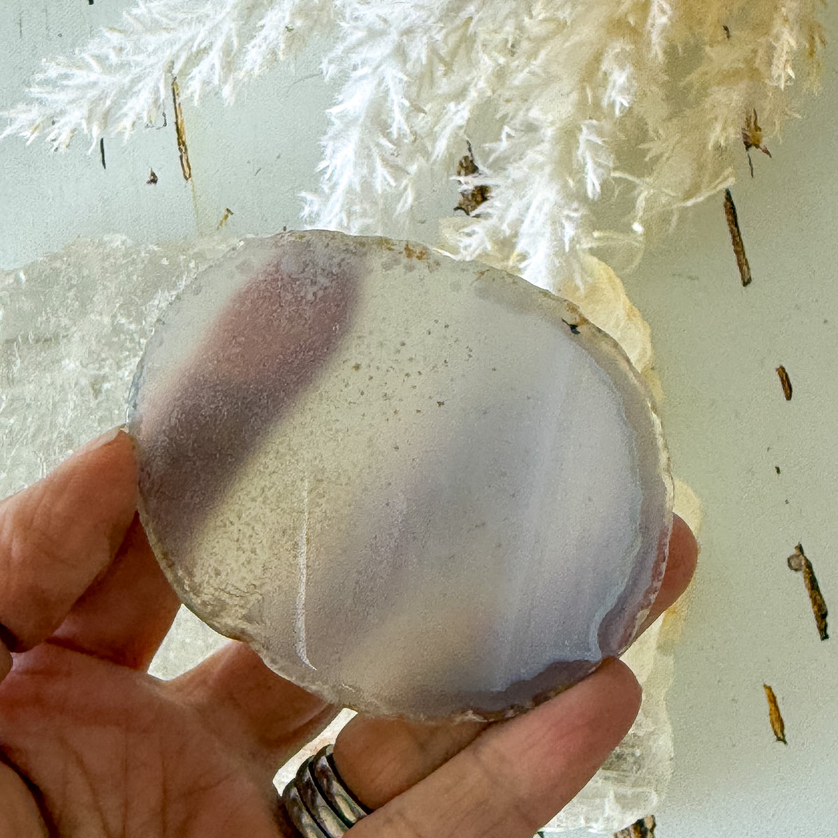Agate Slice #1464-Happily Zen