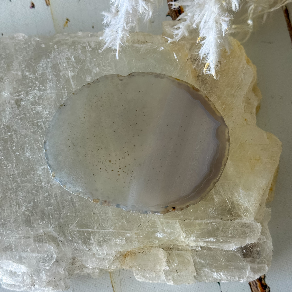 Agate Slice #1464-Happily Zen