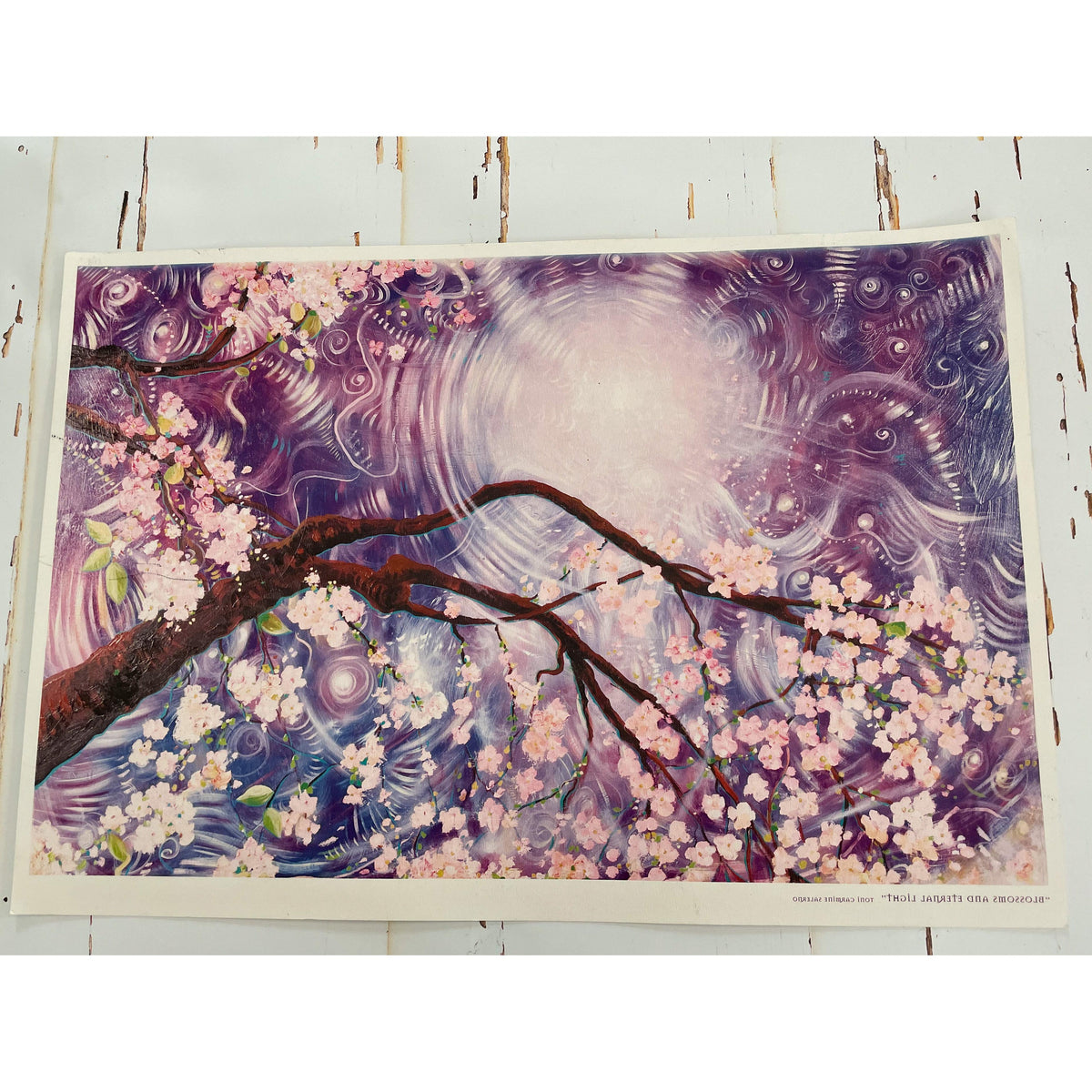 Blossoms and Eternal Light Print by Toni Carmine Salerno-Happily Zen