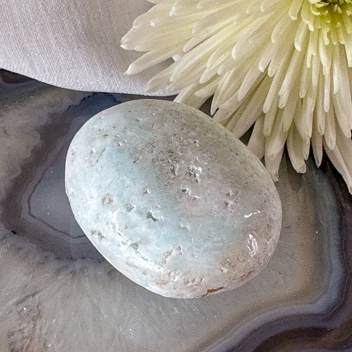 Caribbean Calcite Palm Stone #697-Happily Zen