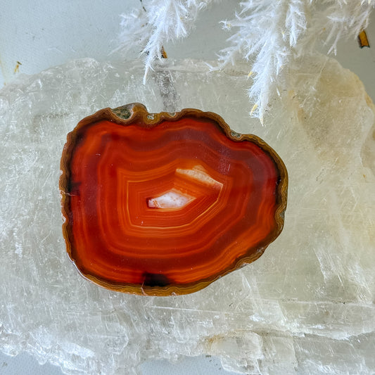 Carnelian Slice #1465-Happily Zen