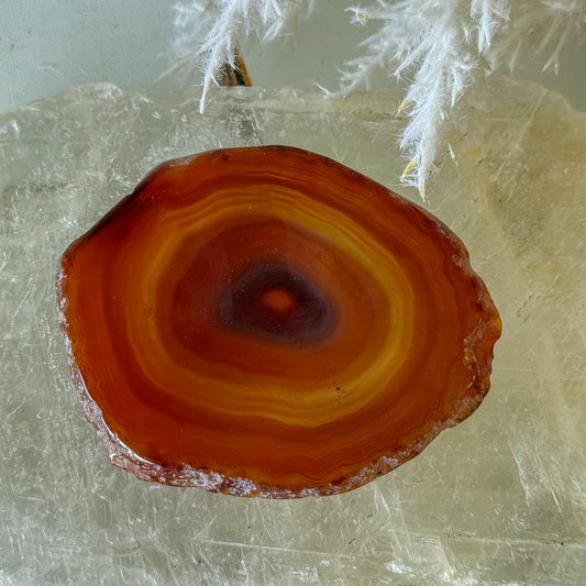 Carnelian Slice #1468-Happily Zen