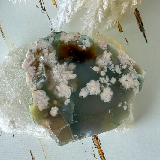 Flower Agate Slice #1471-Happily Zen