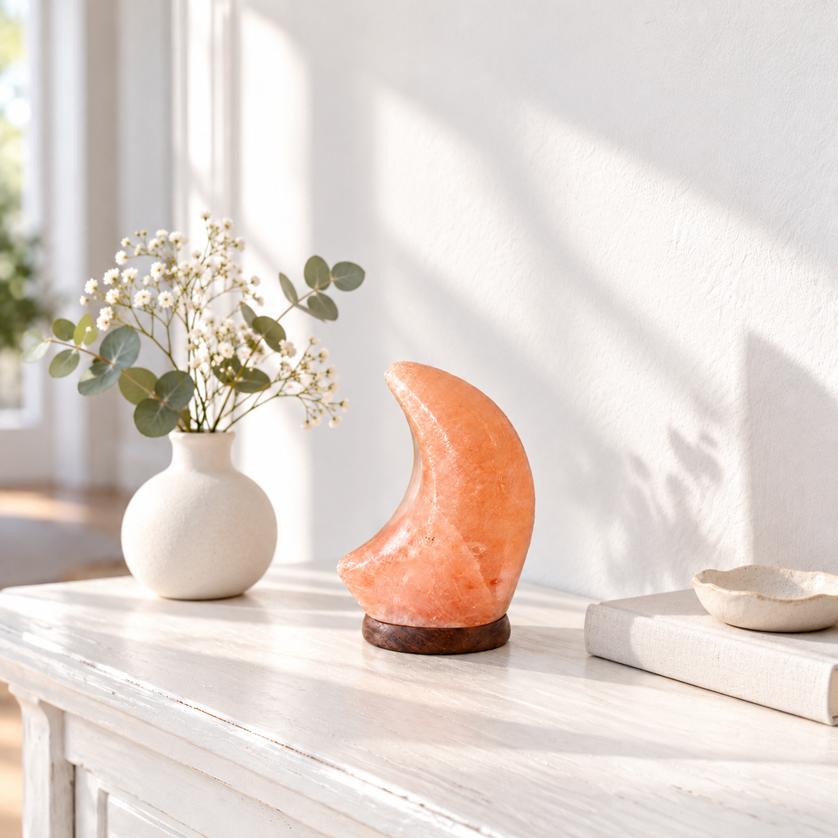 Himalayan Salt Moon Lamp #1472