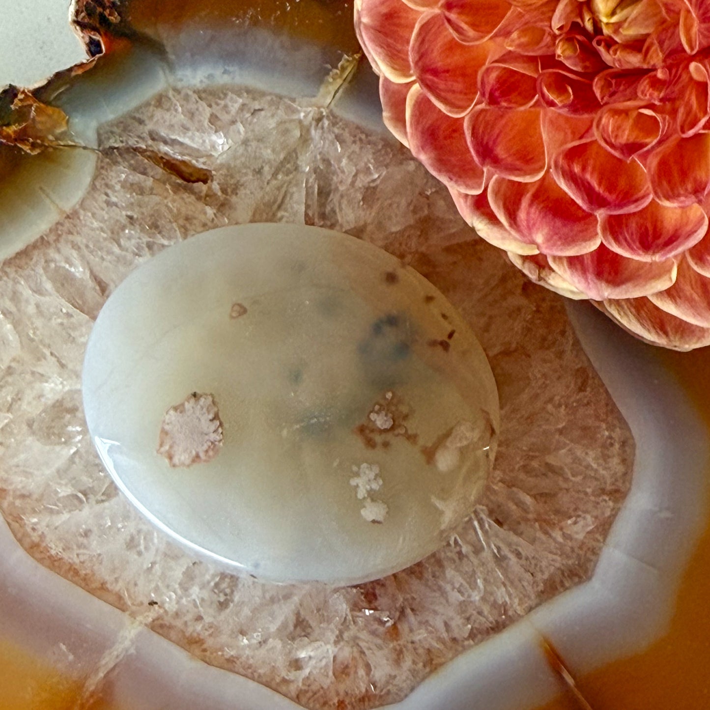 Flower Agate Palm Stone #1096