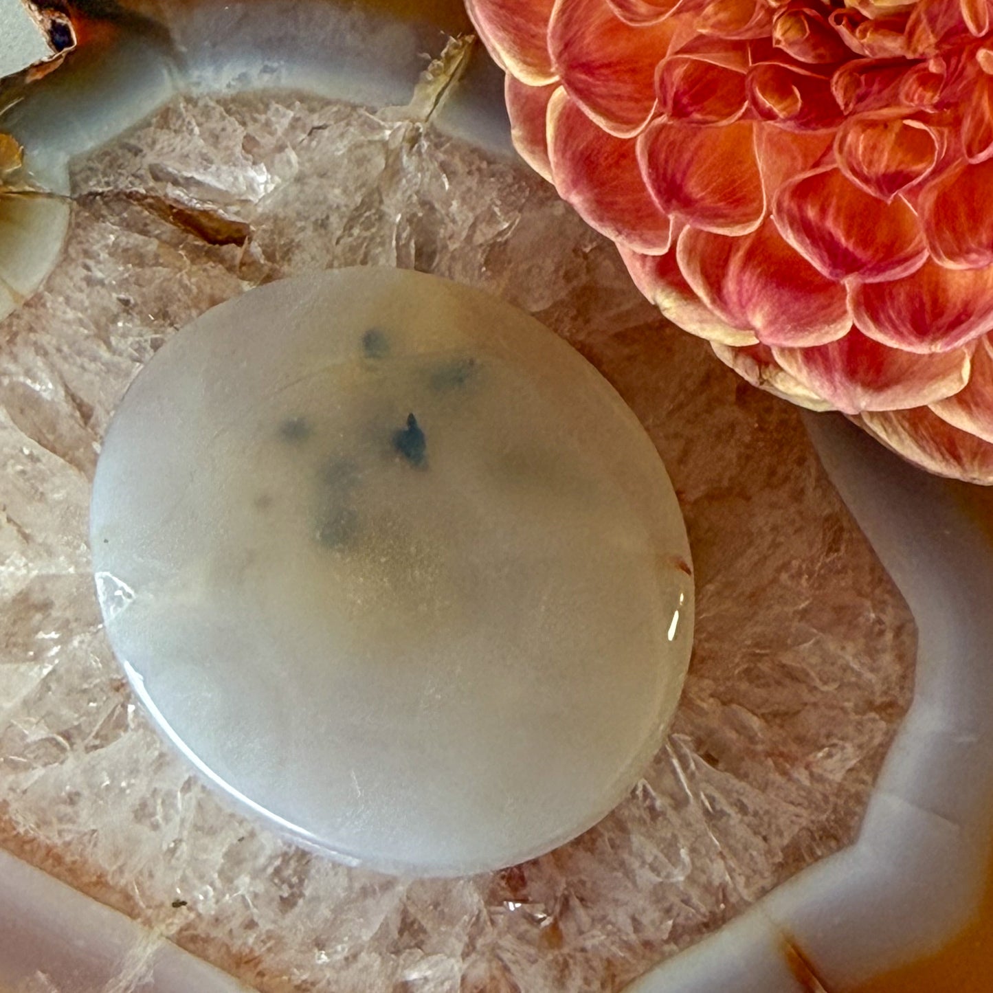 Flower Agate Palm Stone #1096