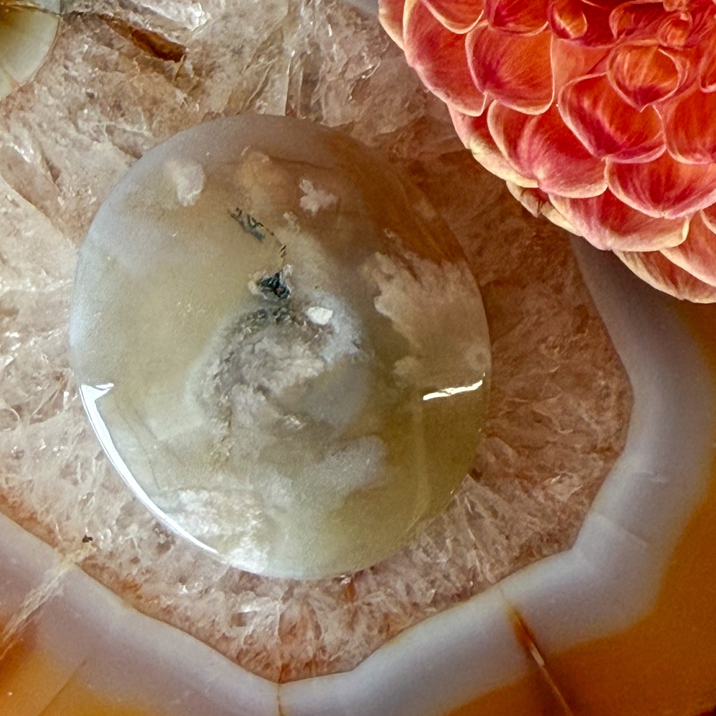 Flower Agate Palm Stone #1097