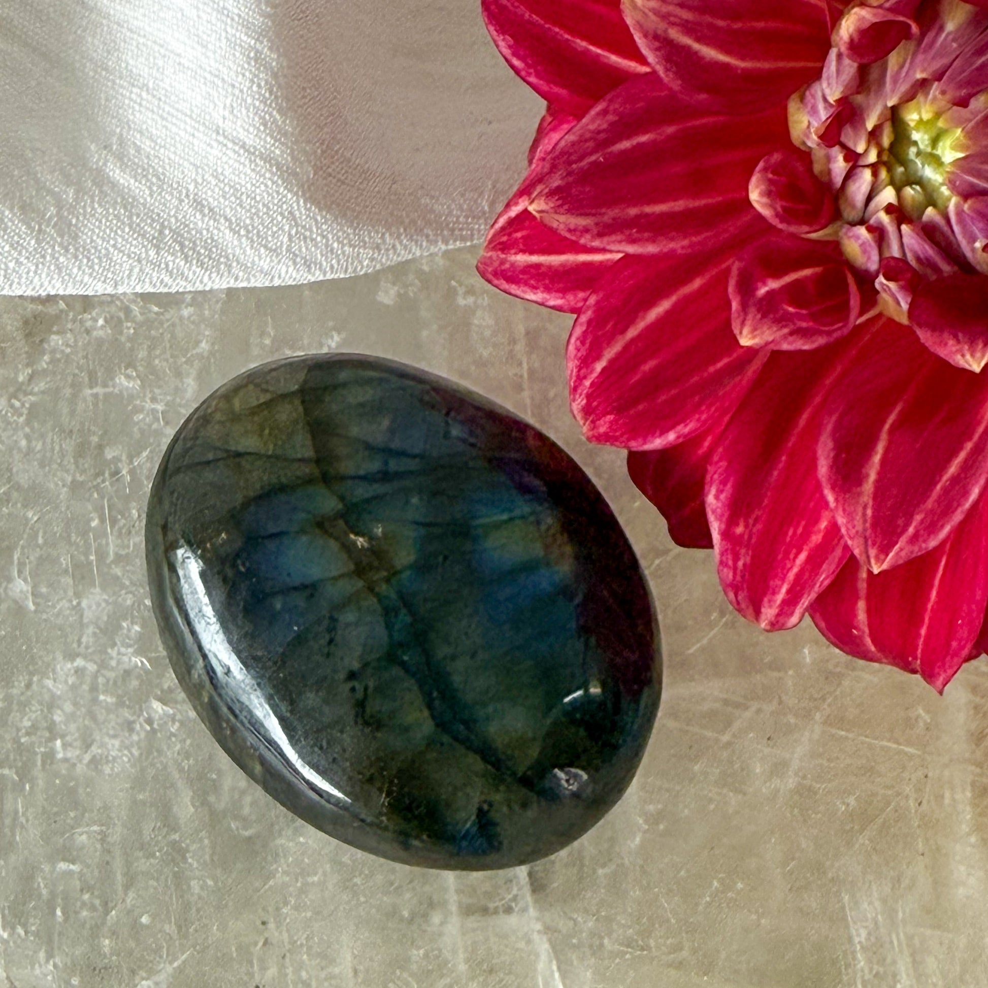 Labradorite Palm Stone #1167-Happily Zen