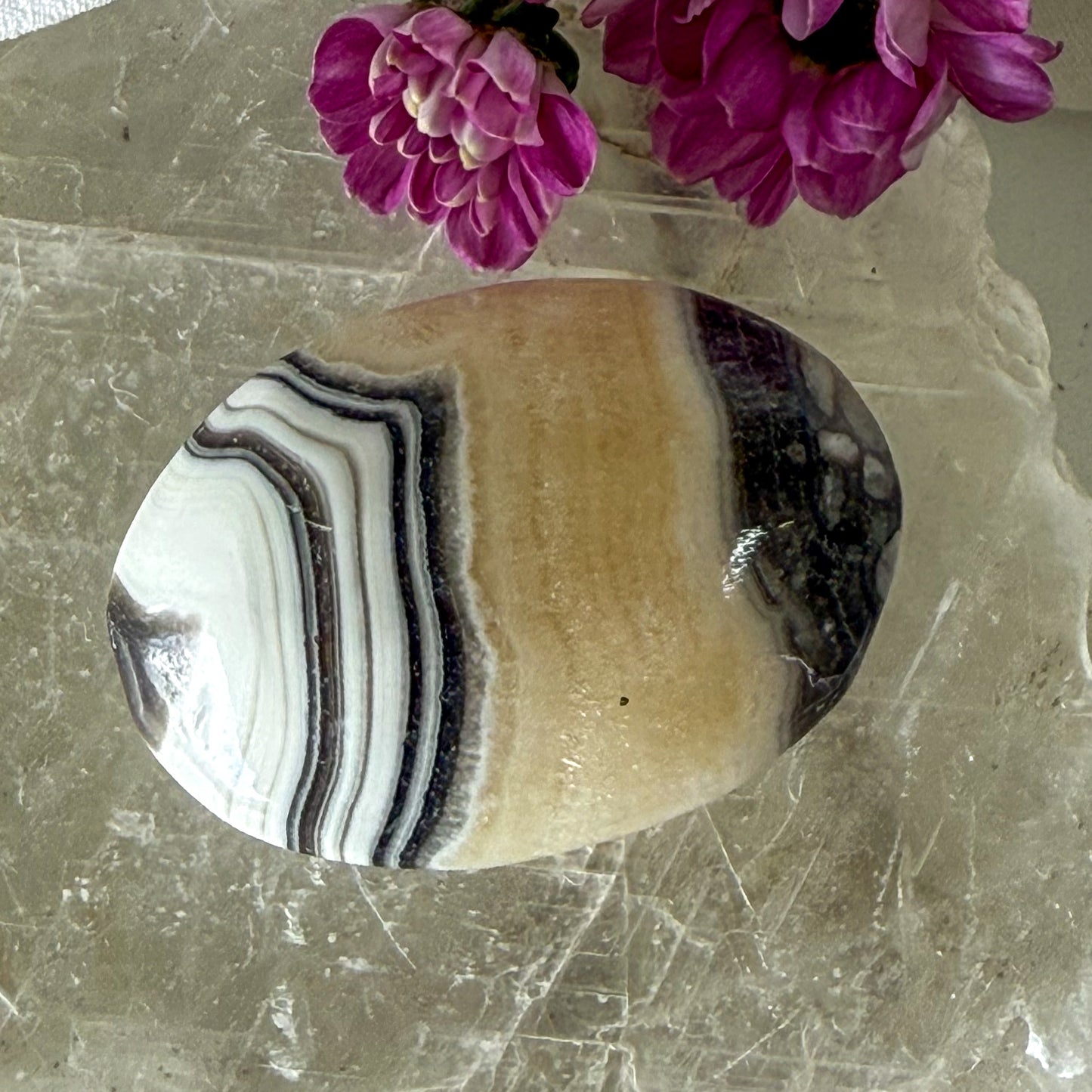 Zebra Calcite Palm Stone #1288-Happily Zen