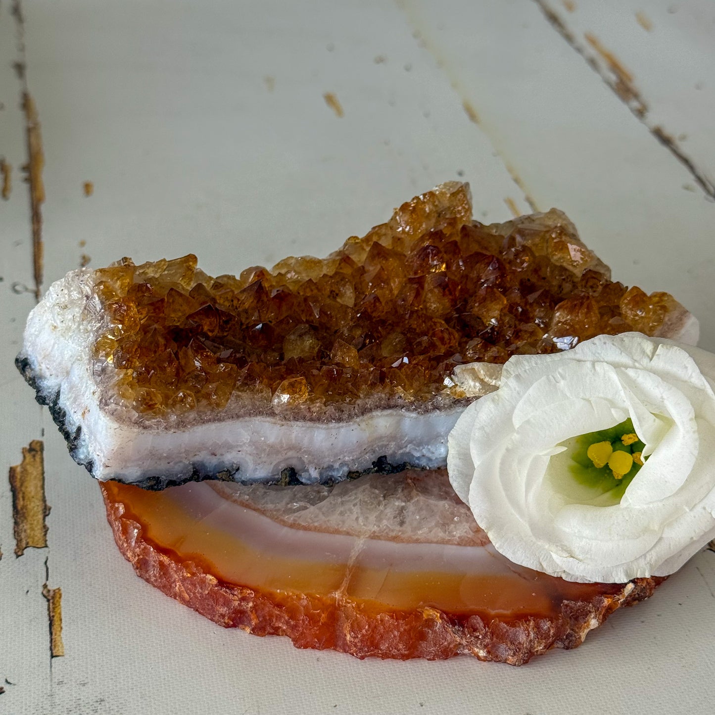 Citrine Cluster #1268