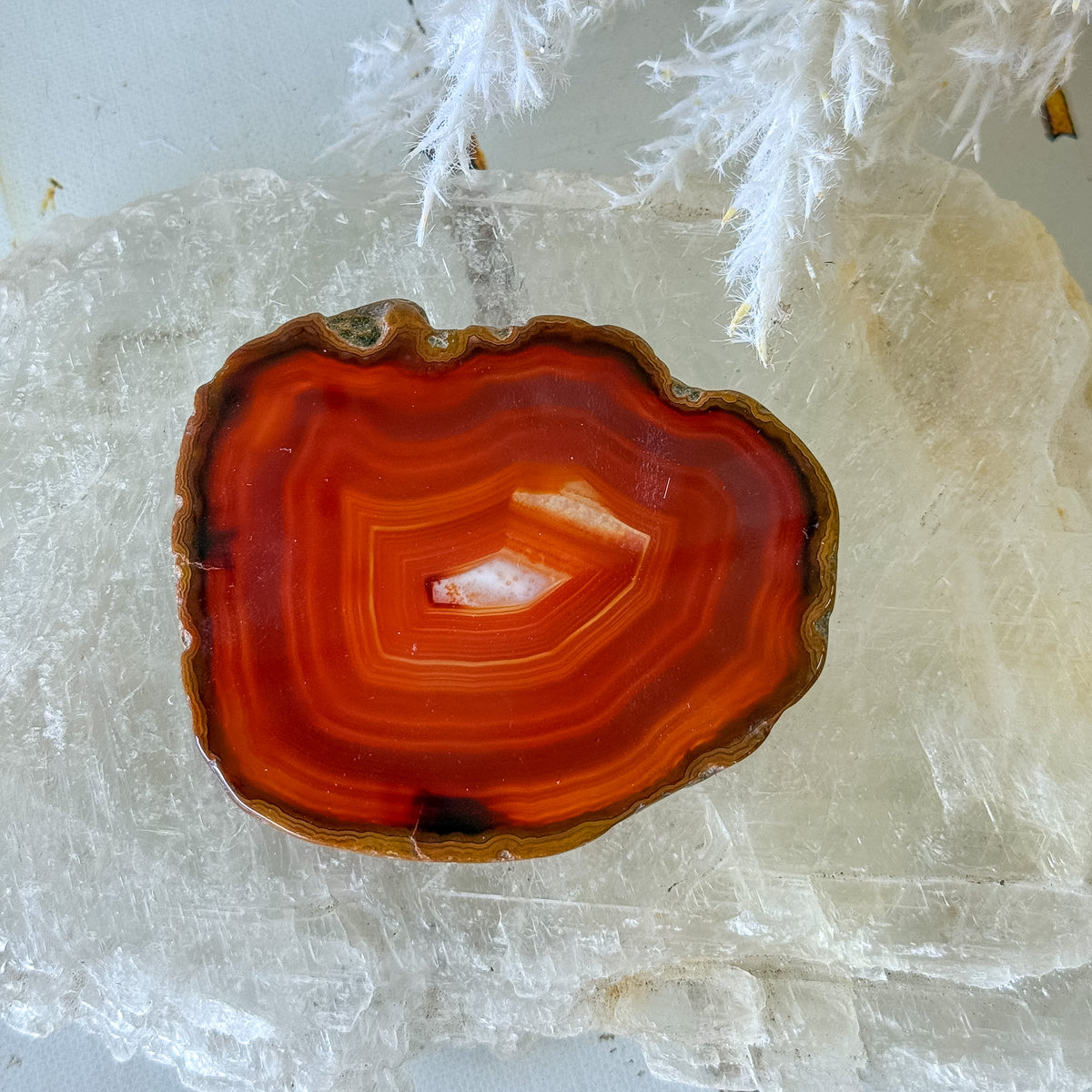 Carnelian Slice #1465