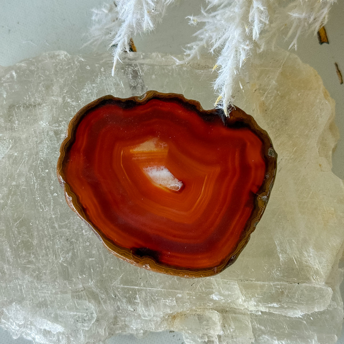 Carnelian Slice #1465