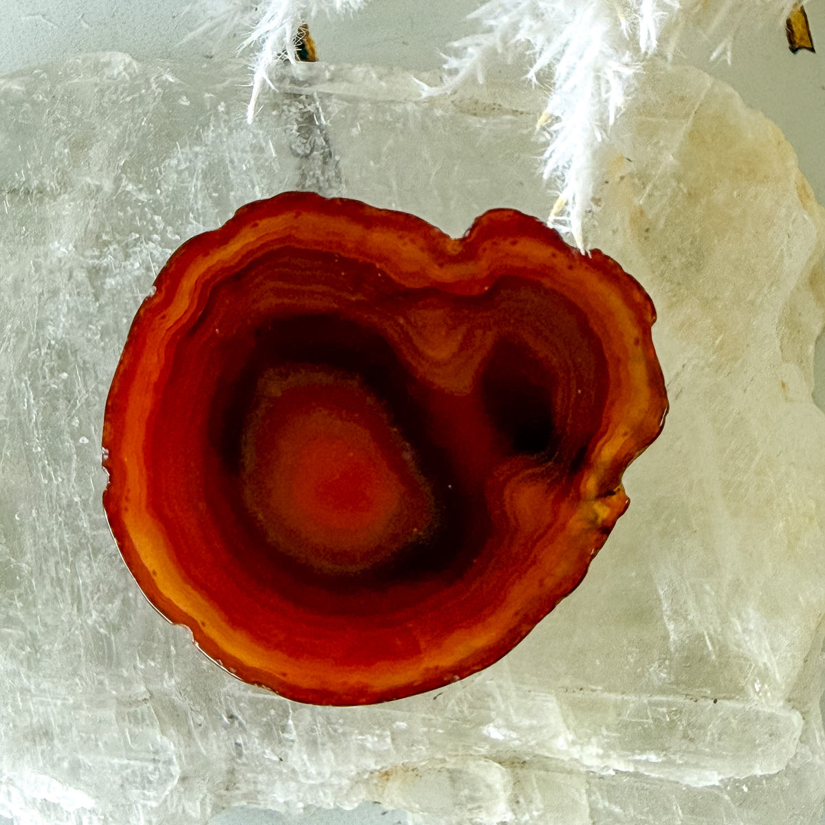 Carnelian Slice #1467