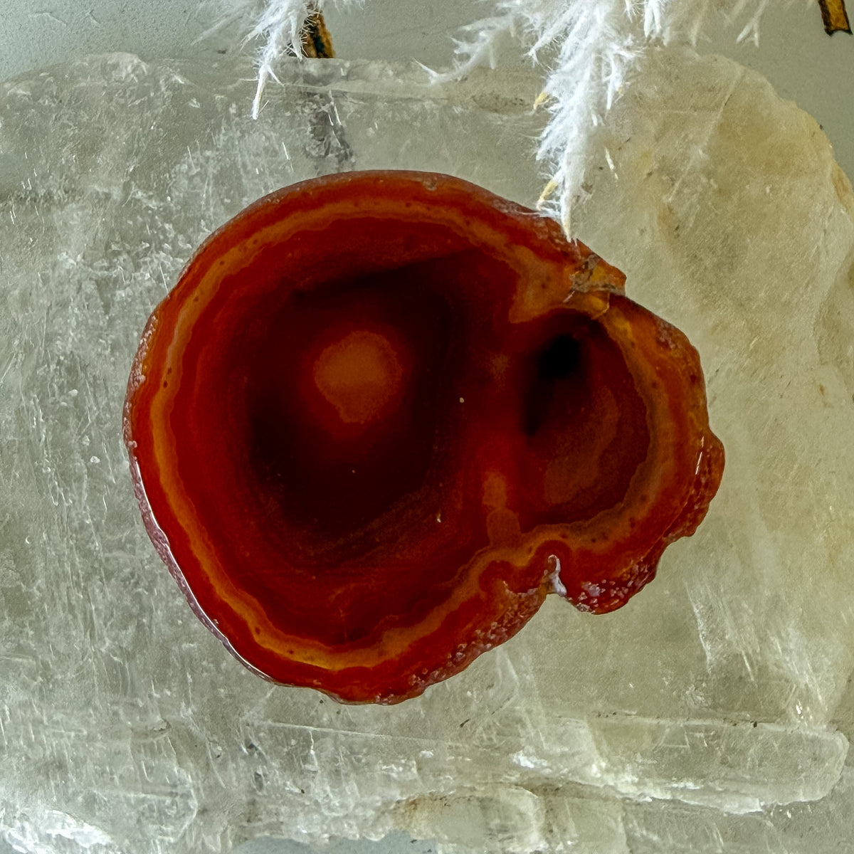 Carnelian Slice #1467
