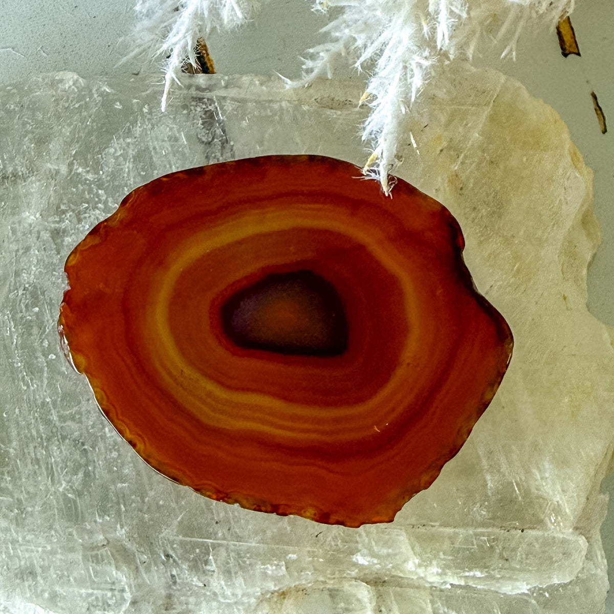 Carnelian Slice #1468