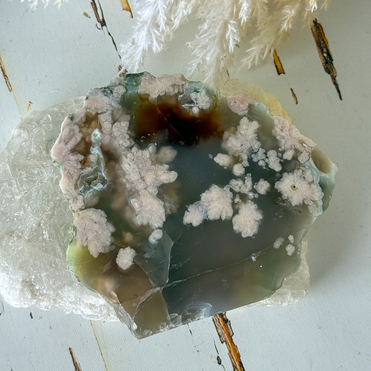 Flower Agate Slice #1471