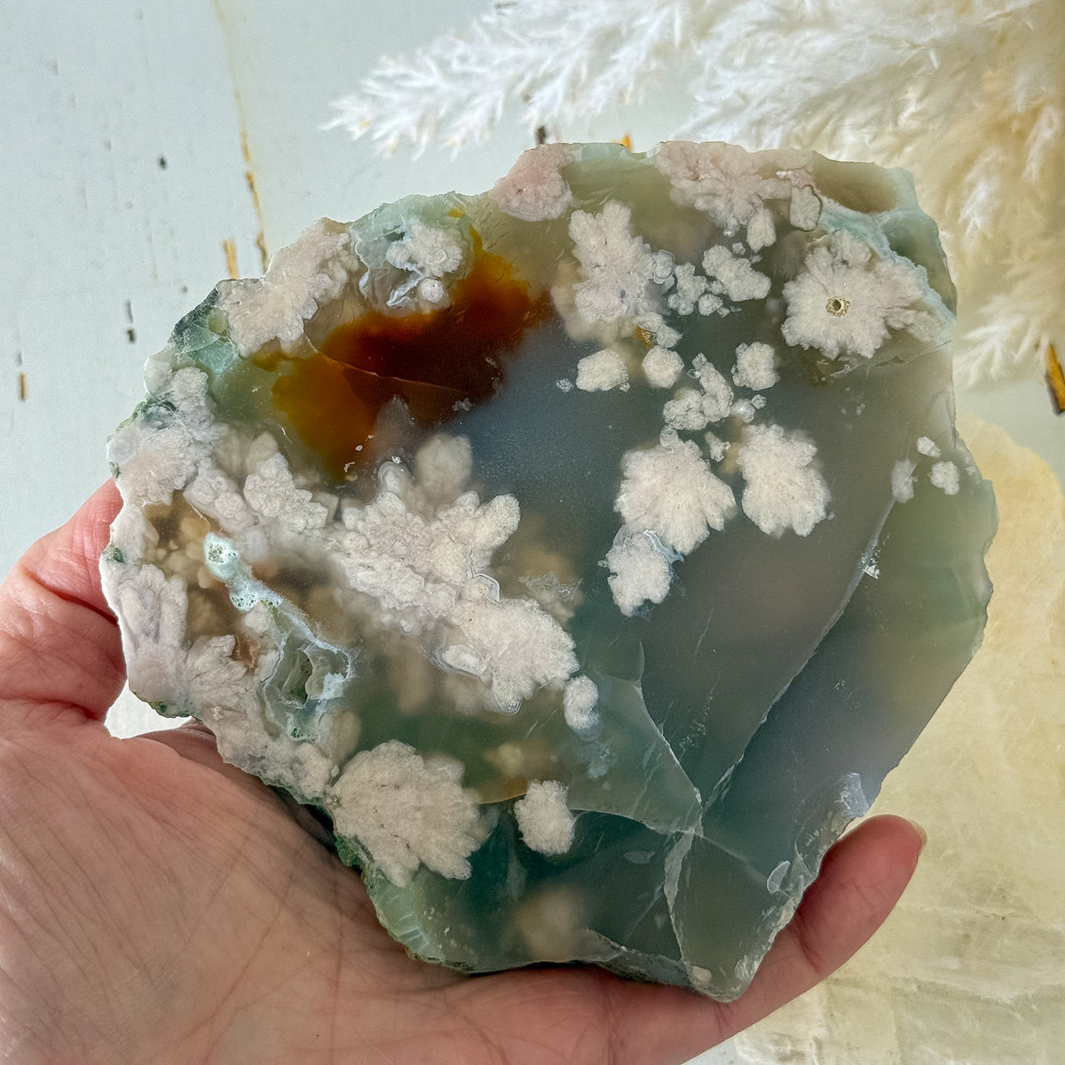 Flower Agate Slice #1471