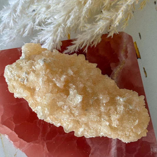 Apophyllite Cluster #1272