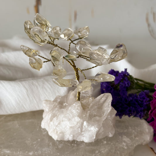 Clear Quartz Crystal Tree #749