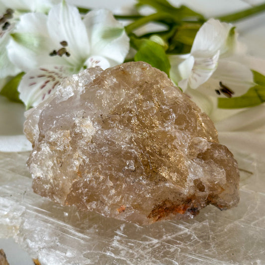 Raw Citrine #1034