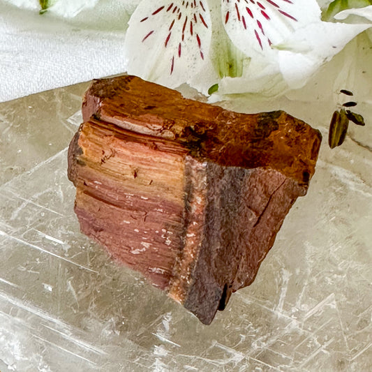 Raw Tigers Eye #1036