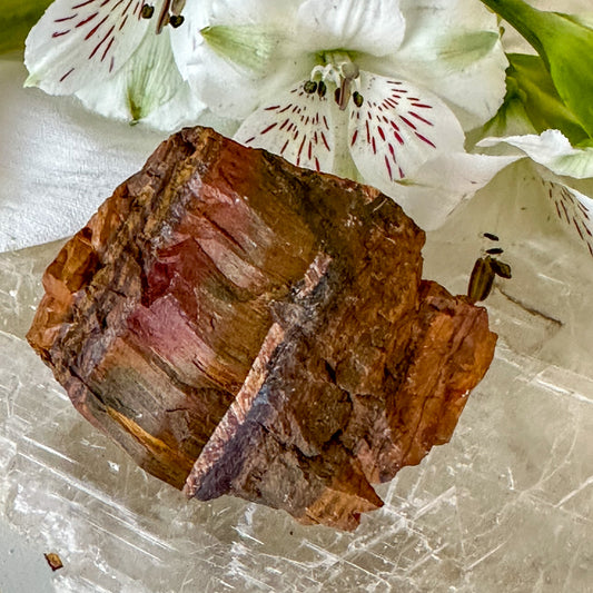 Raw Tigers Eye #1037