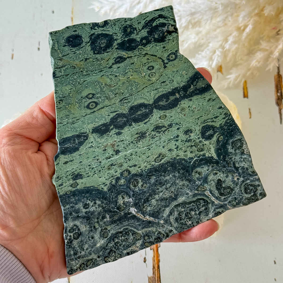 Kambaba Jasper Slice #1454-Happily Zen