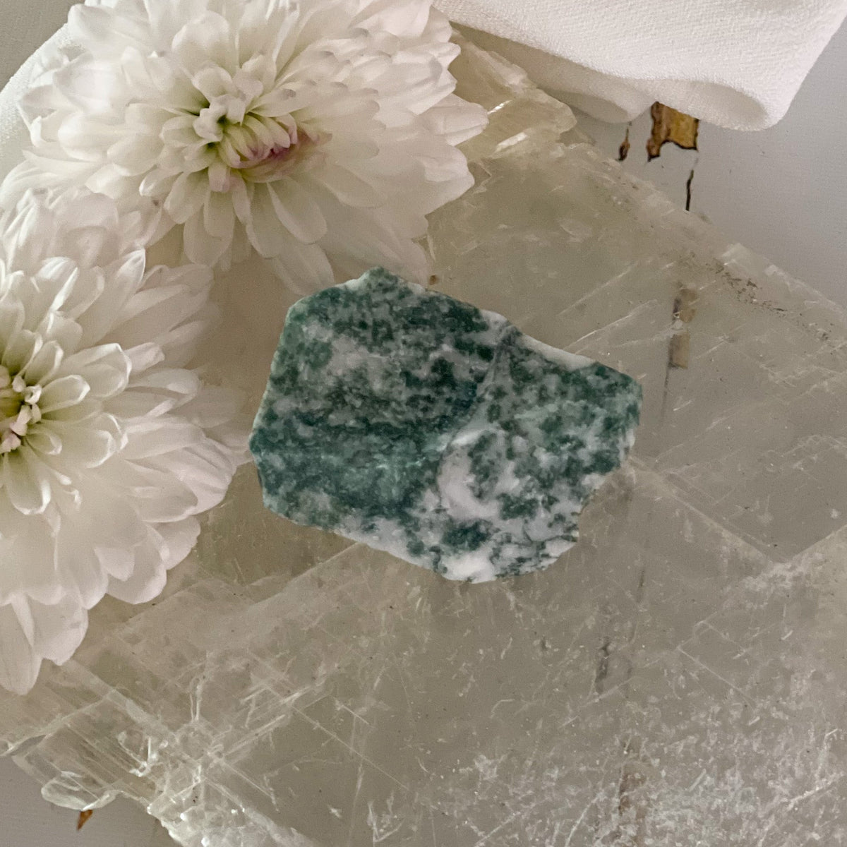 Raw Tree Agate #398-Happily Zen