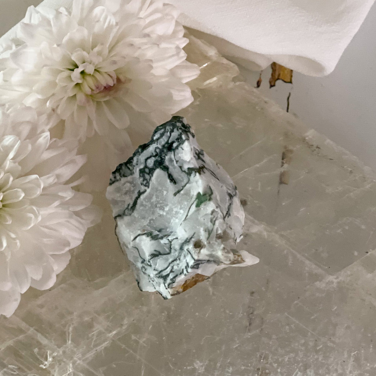 Raw Tree Agate #399-Happily Zen