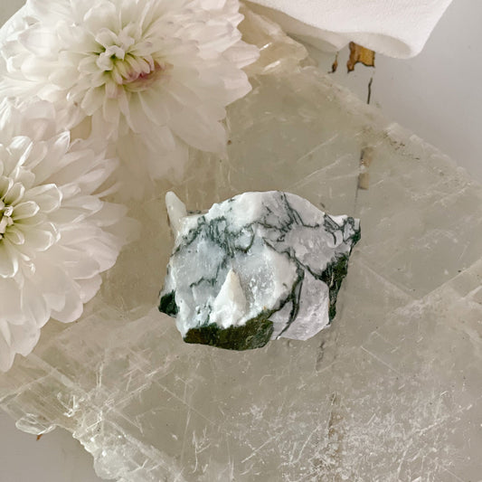Raw Tree Agate #399-Happily Zen