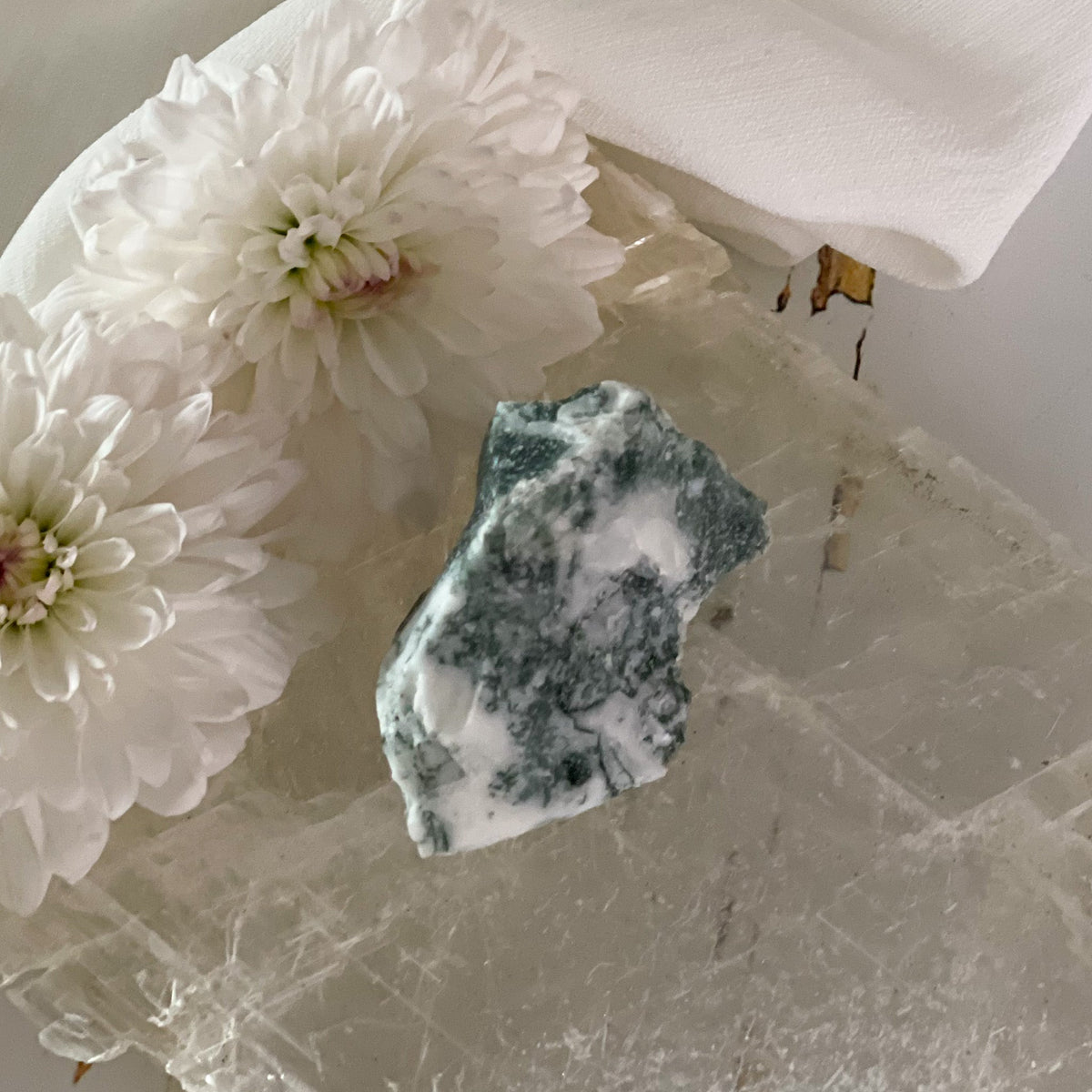Raw Tree Agate #400-Happily Zen