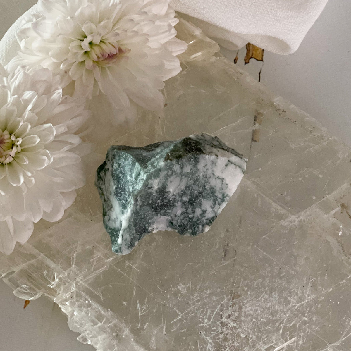 Raw Tree Agate #400-Happily Zen