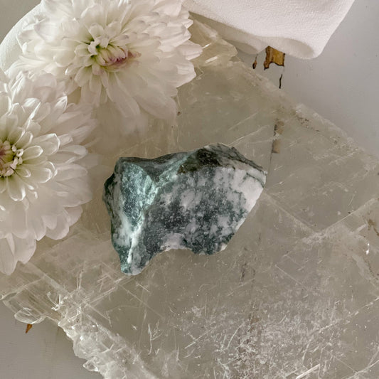 Raw Tree Agate #400-Happily Zen