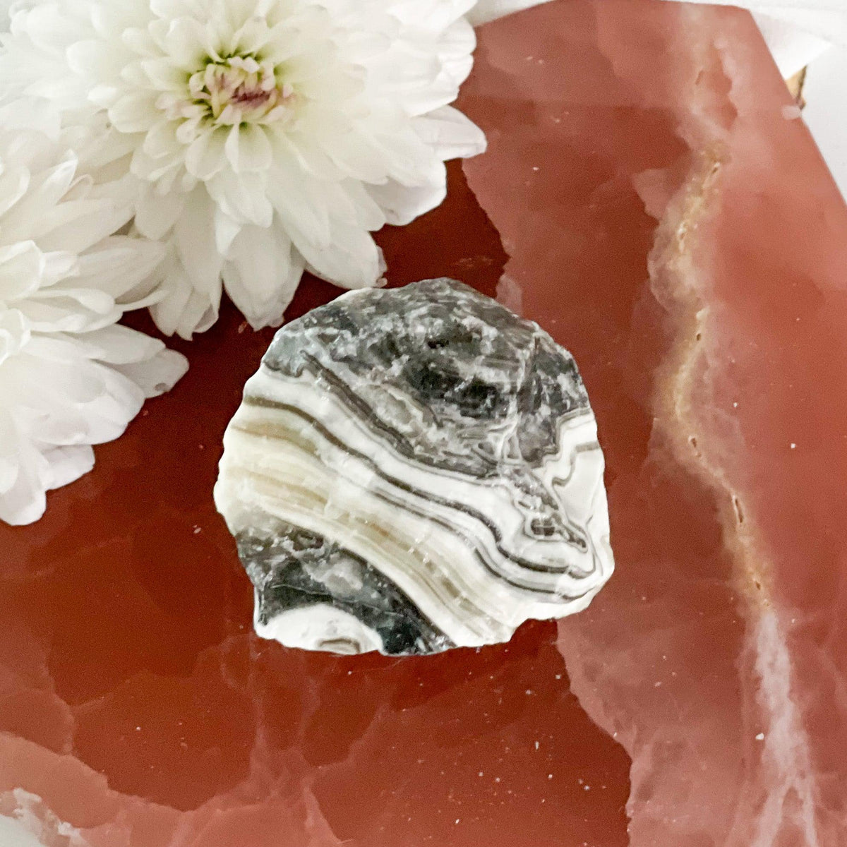 Raw Zebra Calcite #438-Happily Zen