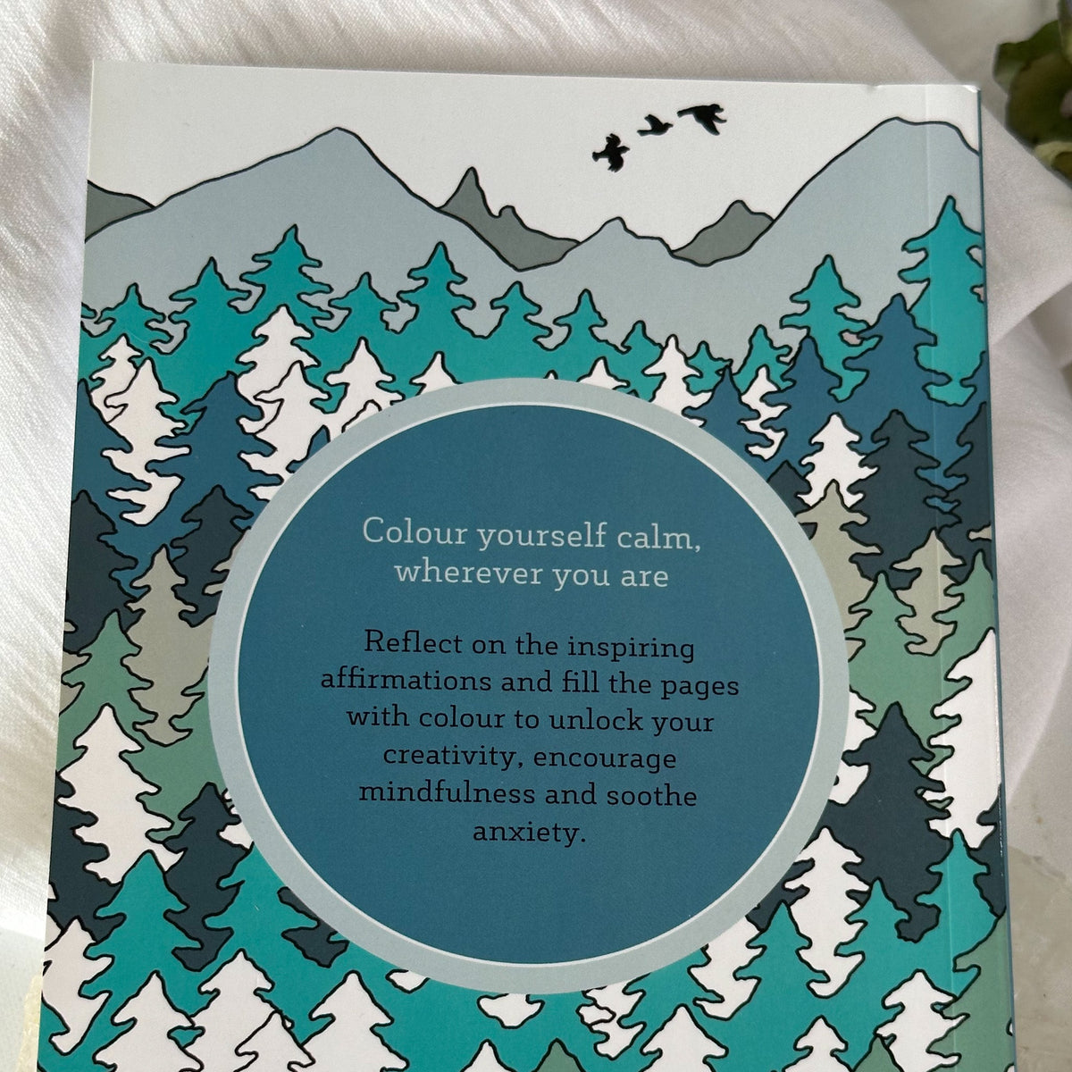 Wild Woodland- The Little Book of Colouring #799-Happily Zen