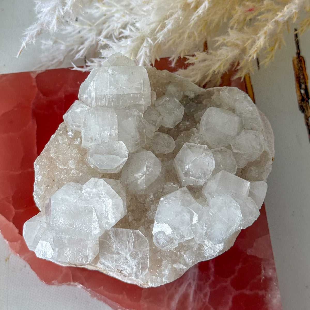 Apophyllite Cluster #1269-Happily Zen