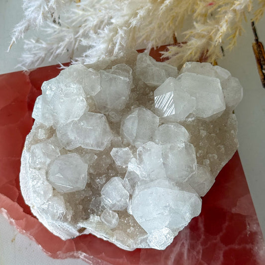Apophyllite Cluster #1269-Happily Zen