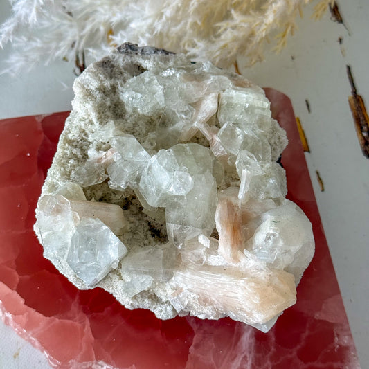 Apophyllite Cluster #1273-Happily Zen
