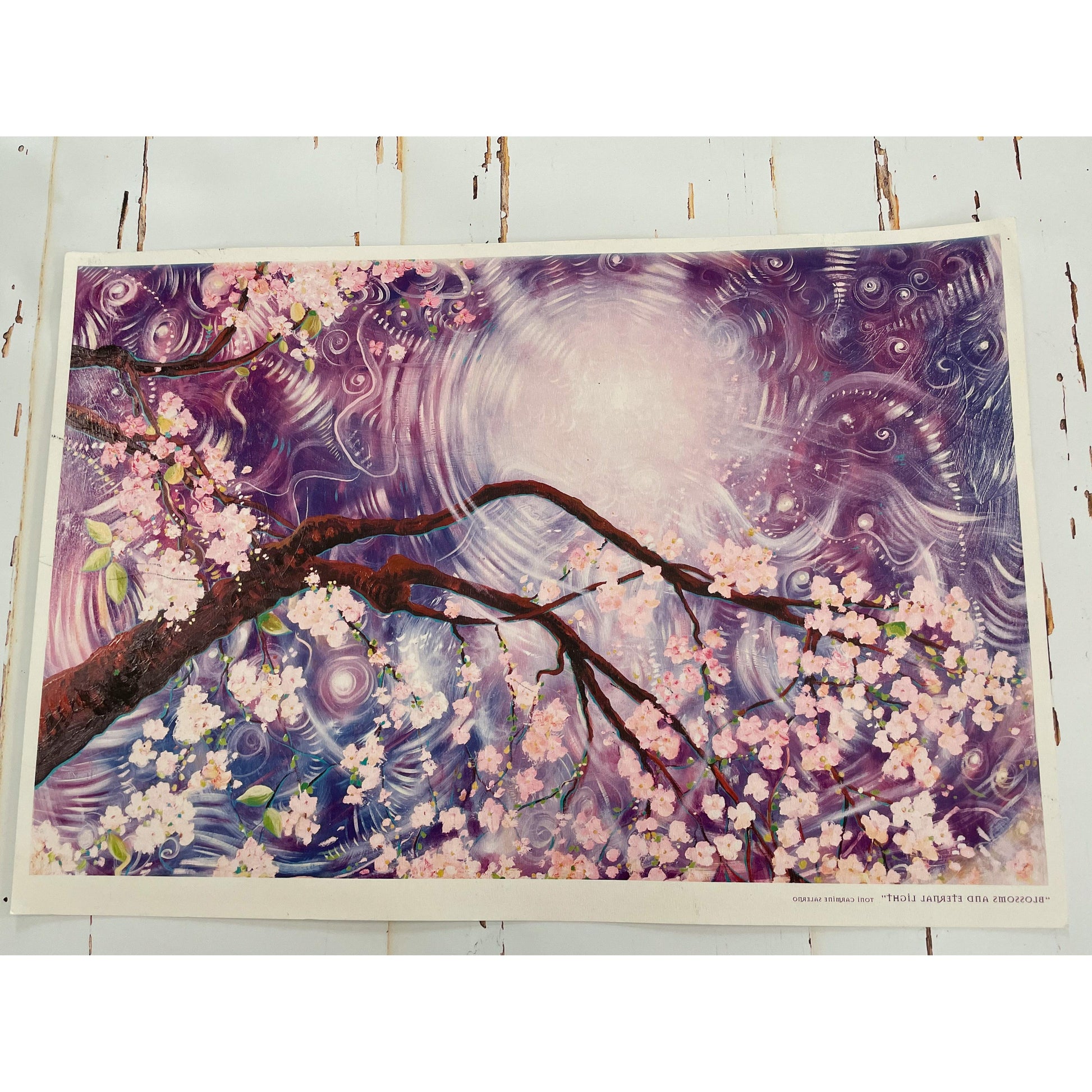 Blossoms and Eternal Light Print by Toni Carmine Salerno-Happily Zen