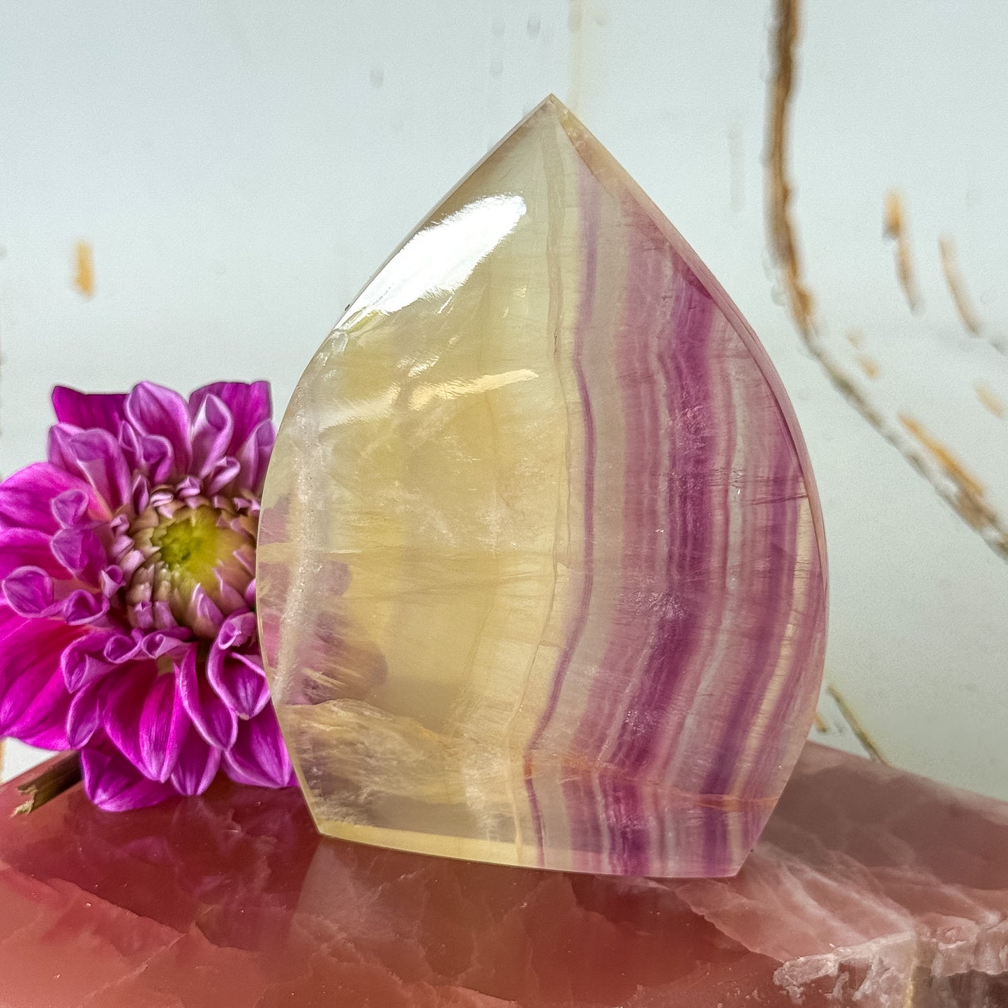 Candy Fluorite Flame #1429-Happily Zen