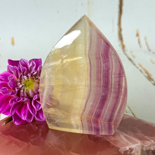 Candy Fluorite Flame #1429-Happily Zen